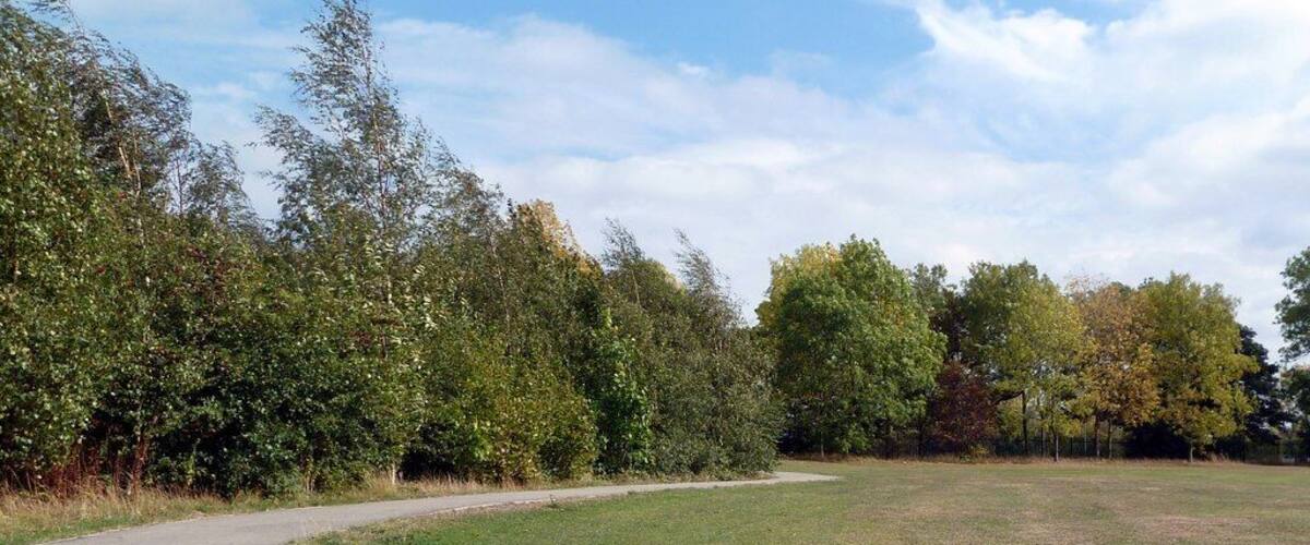 A park with a curved path, a wooden bench, and trees with green and yellow foliage.