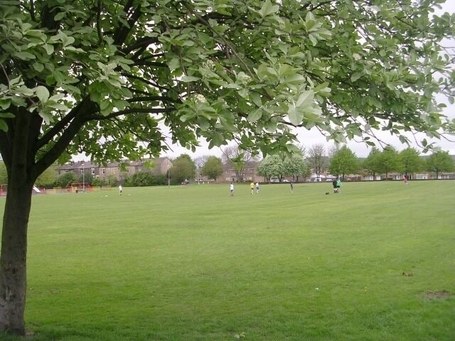 Playing Field - New Park View