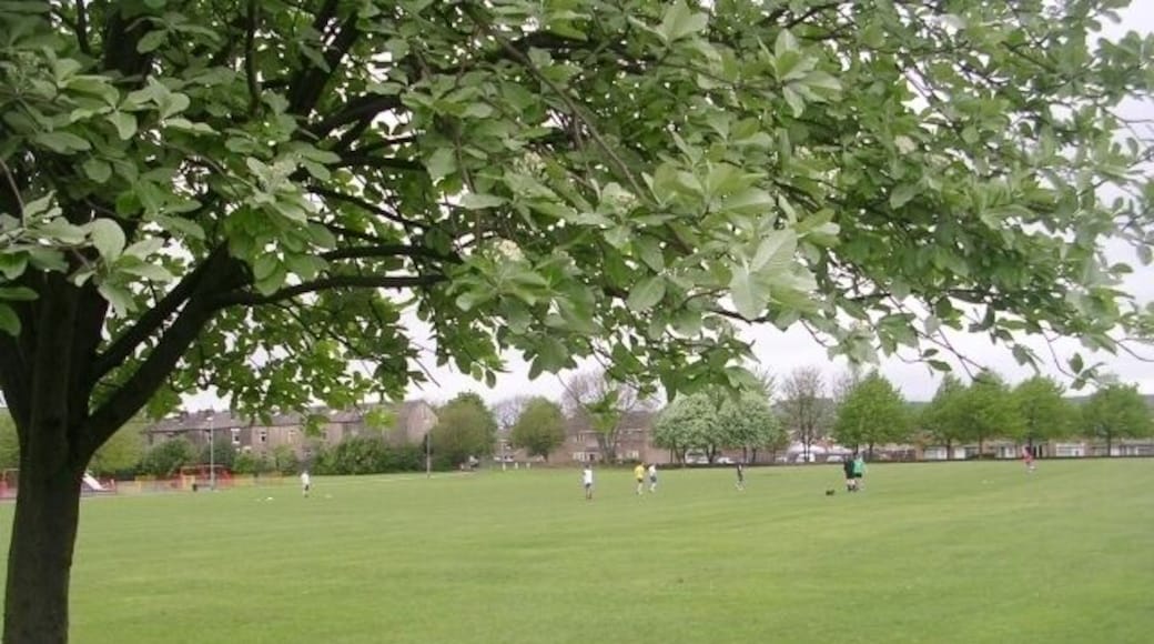 Playing Field - New Park View