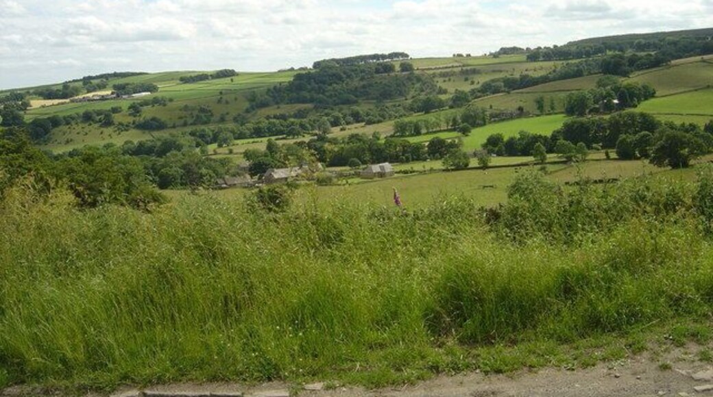 Looking South West from School Green Lane