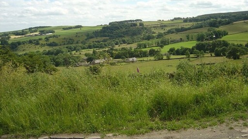 Looking South West from School Green Lane