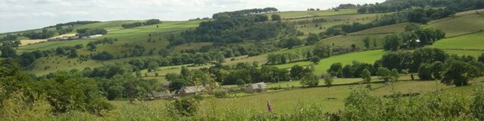 Looking South West from School Green Lane