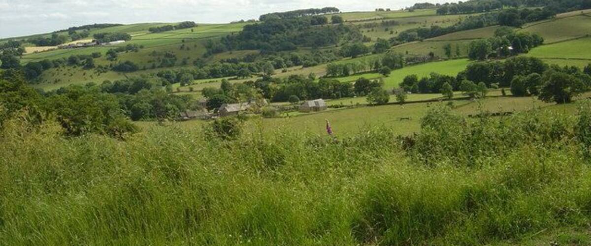Rolling green hills, a small house, and a clear blue sky.