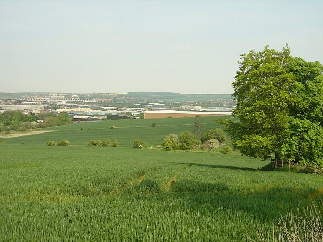 A green field with a tree and a distant view of buildings.