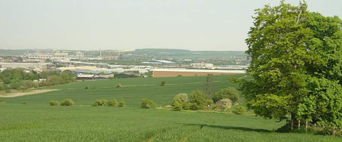 A green field with a tree and a distant view of buildings.
