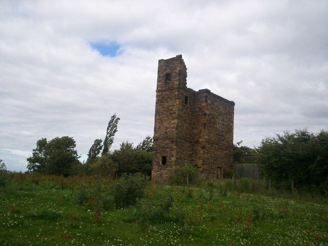 A stone tower in a grassy field with trees in the background.