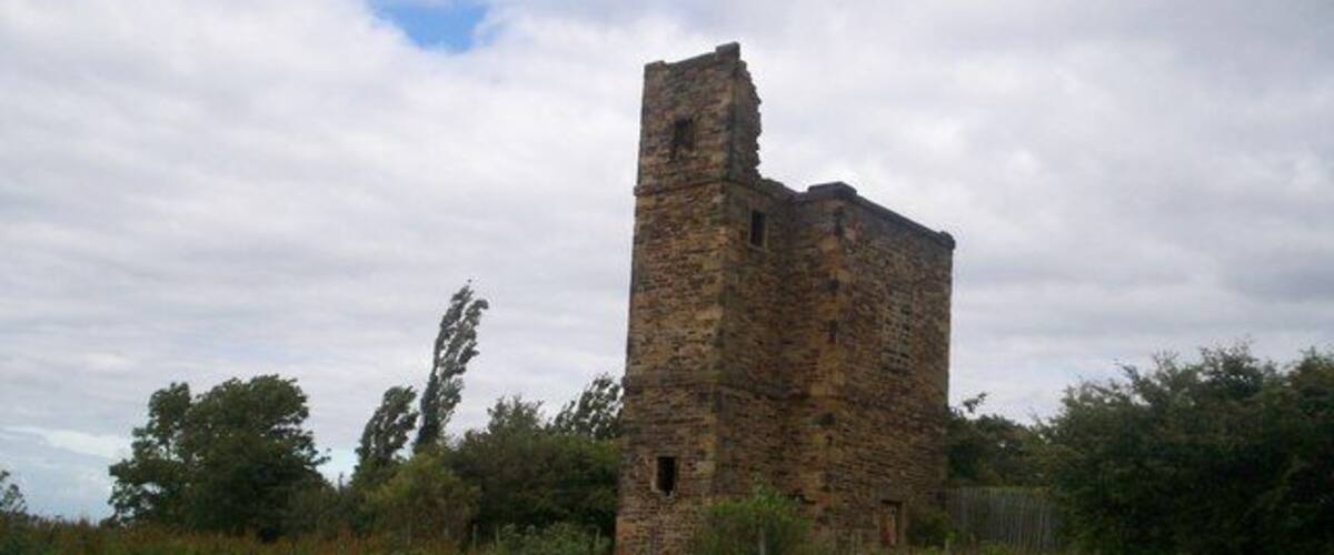 A stone tower in a grassy field with trees in the background.
