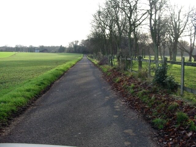 A rural road flanked by fields and trees.