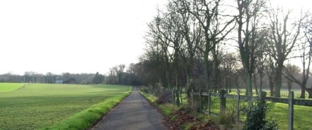 A rural road flanked by fields and trees.