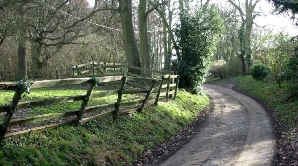 Private road to Knowlton Court