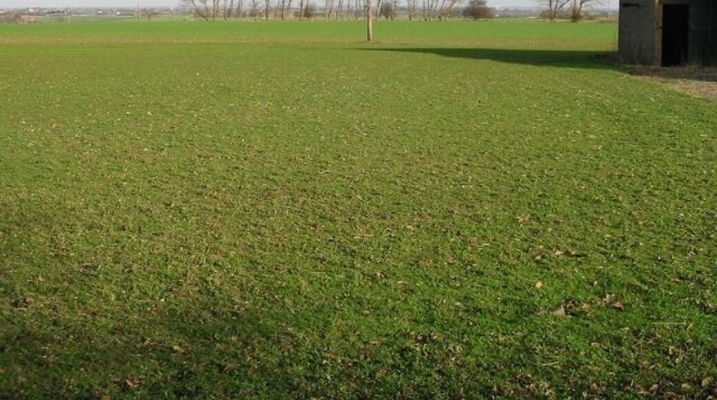 View across the fields at Knowlton