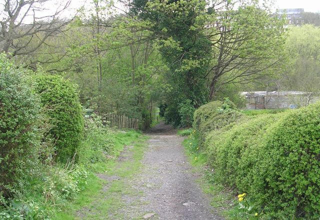 Track - off Grove Lane