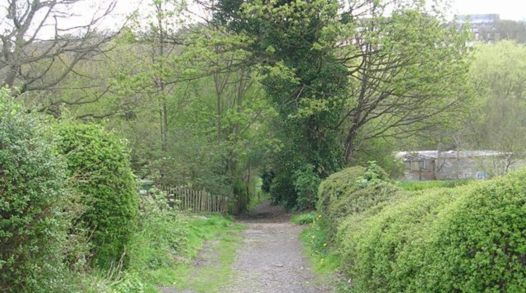 Track - off Grove Lane