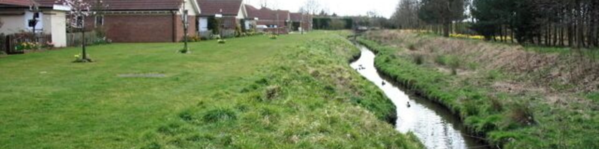 A narrow water channel running alongside a grassy area with houses in the background.