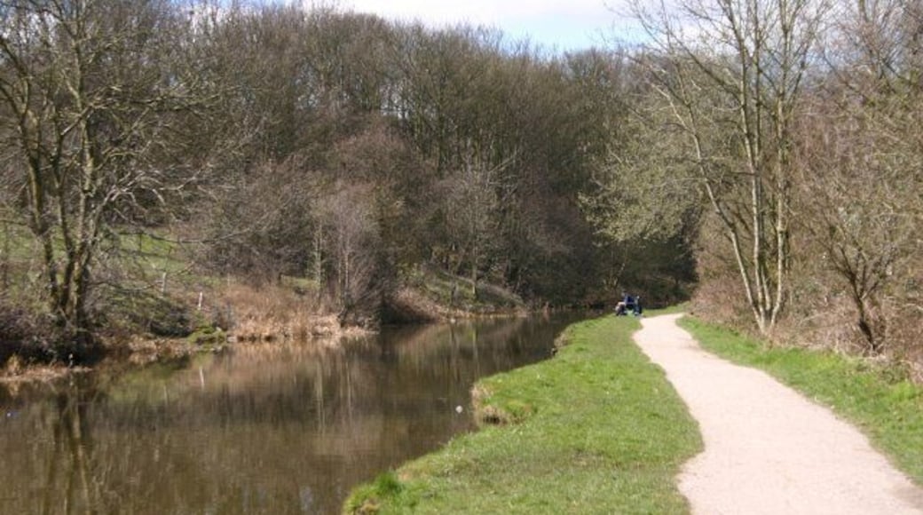 Leeds and Liverpool Canal Spring about to blossom near Rodley. A pleasant way to spend a few hours.