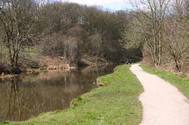 A river with a dirt path alongside it, surrounded by trees.
