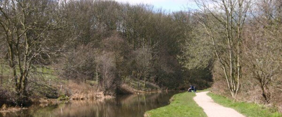 A river with a dirt path alongside it, surrounded by trees.
