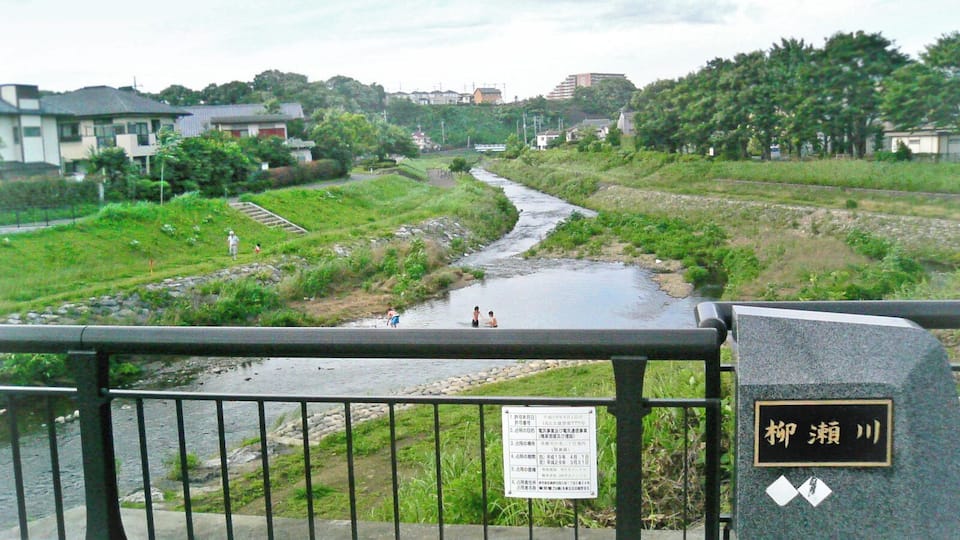 A river flowing through a residential area with houses and greenery.