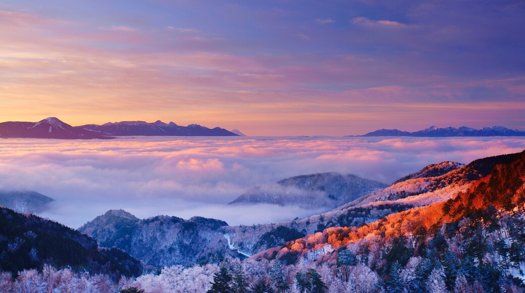 Districte de Chiisagata