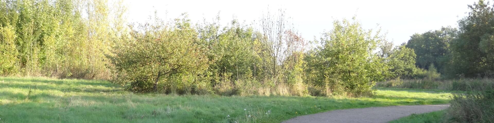 Pages Wood, a Forestry Commission Wood in the London Borough of havering