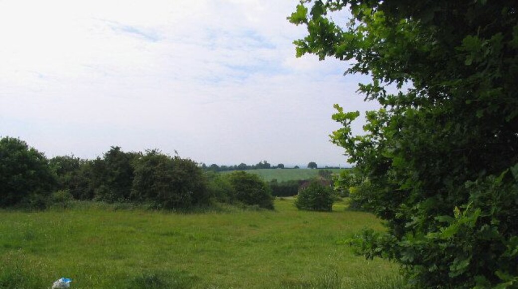 Little Warley Common, Little Warley, Essex. Forms part of the Thames Chase community forest project.