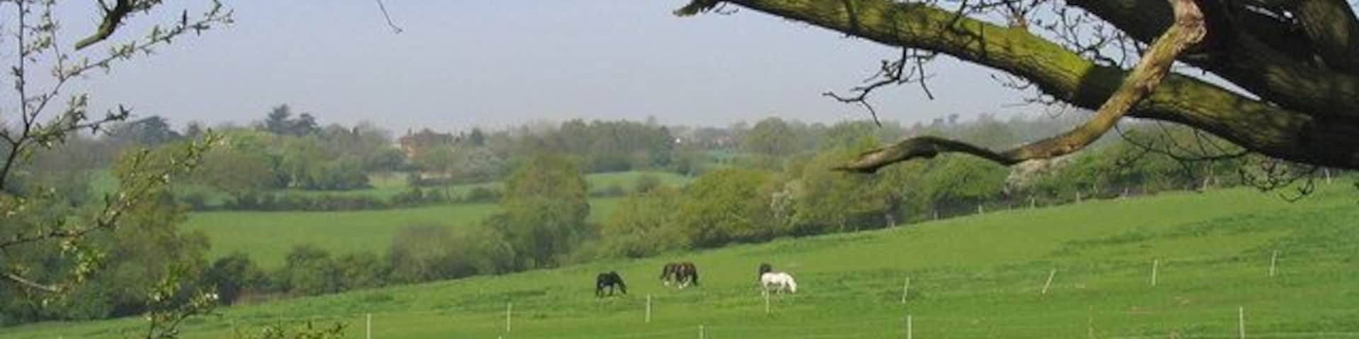 Horse Paddocks, Great Warley. Looking west from Bird Lane - part of St. Faith's Farm