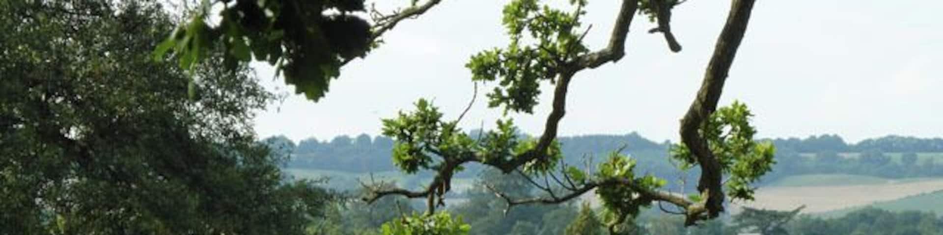 The Old Rectory, Sundridge, Kent