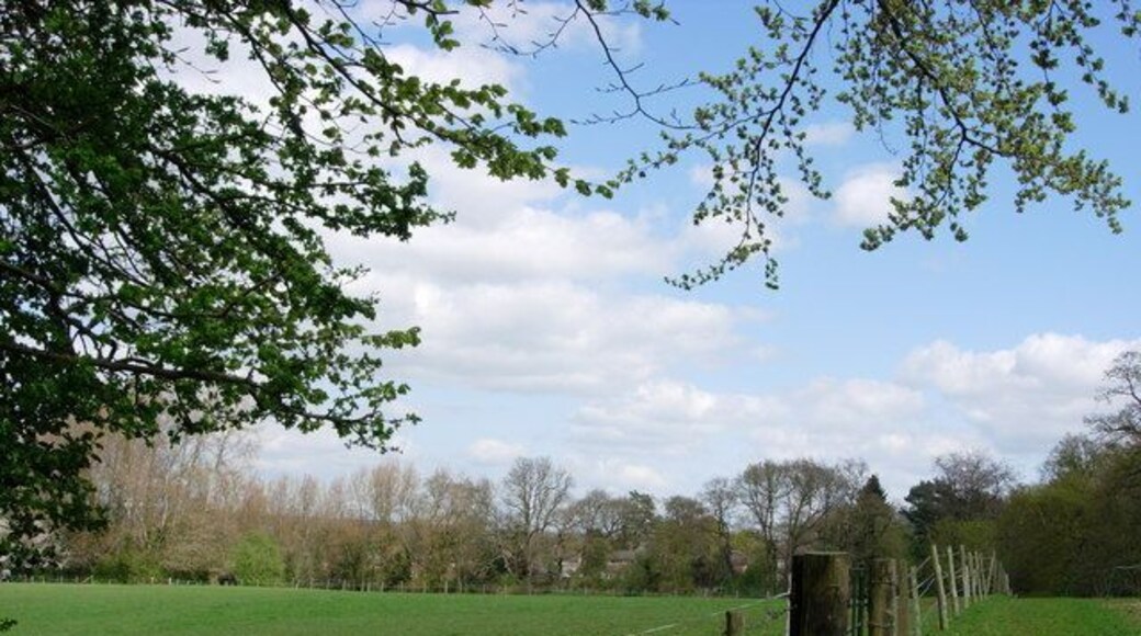 Birchfield Farmland. This photograph was taken from New Road that runs from Ide Hill to Brasted and is looking across towards Sundridge.