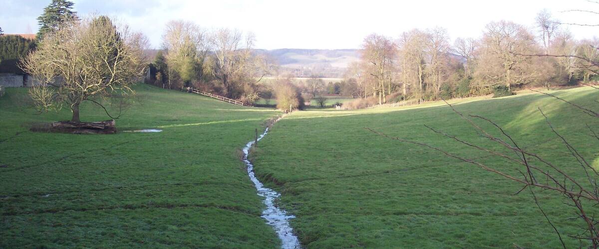 A grassy field with a narrow stream running through it, surrounded by trees and a wooden fence.