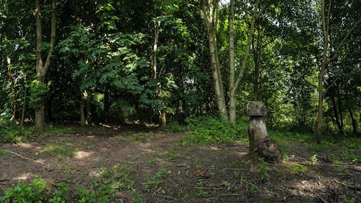 moses gate mushroom sculputre