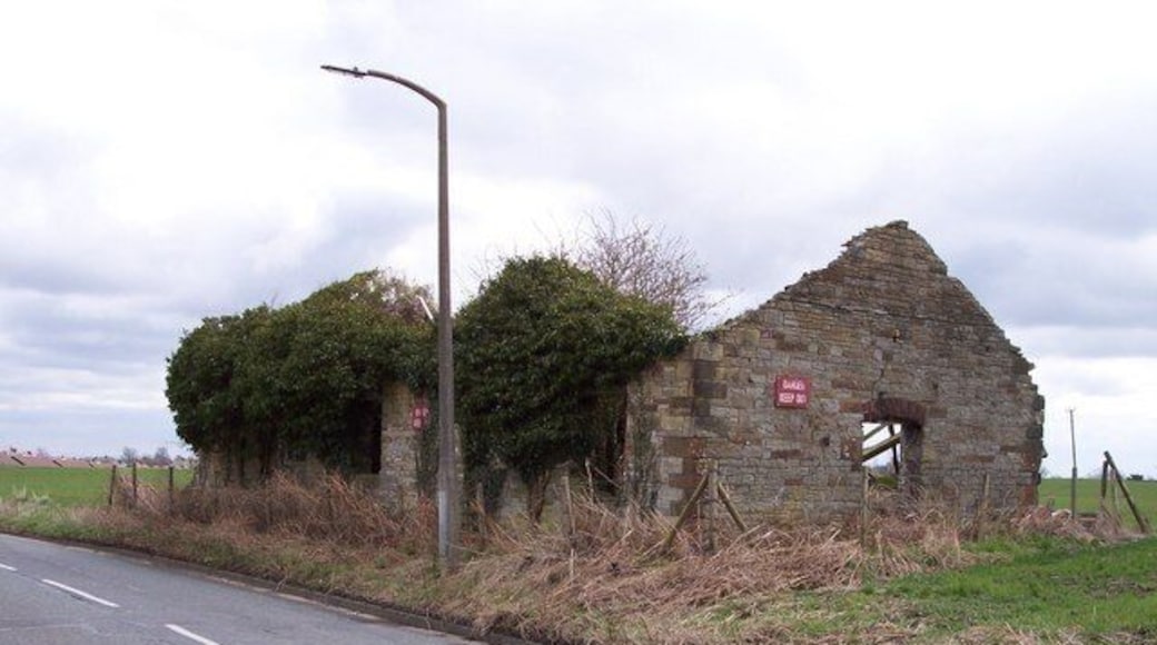 Derelict Farm Buildings These buildings appear to be good sanctuary for wildlife!