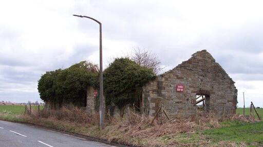 Derelict Farm Buildings These buildings appear to be good sanctuary for wildlife!