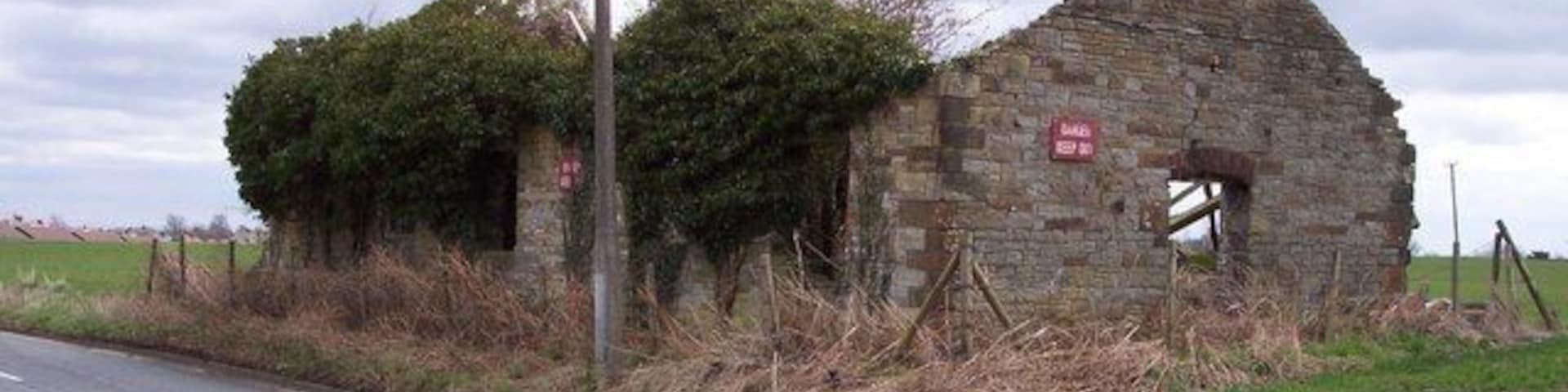 Derelict Farm Buildings These buildings appear to be good sanctuary for wildlife!