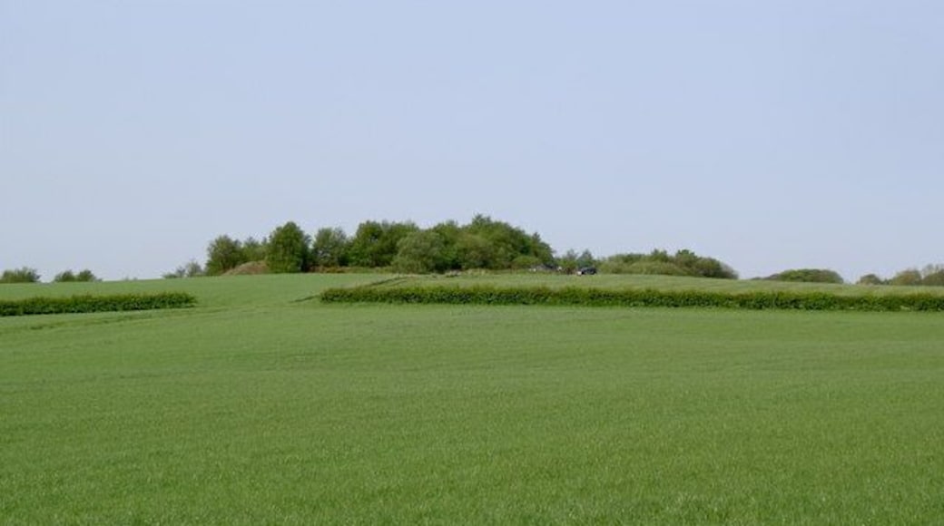 Woody knoll west of Garswood