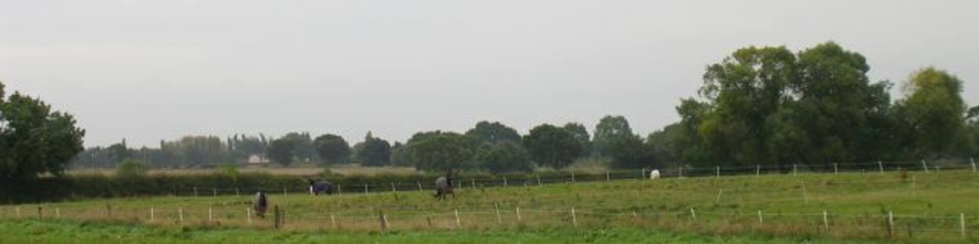Kenyon. Looking southwest across fields at Kenyon, west of Culcheth. SJ63139575.