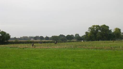 Kenyon. Looking southwest across fields at Kenyon, west of Culcheth. SJ63139575.