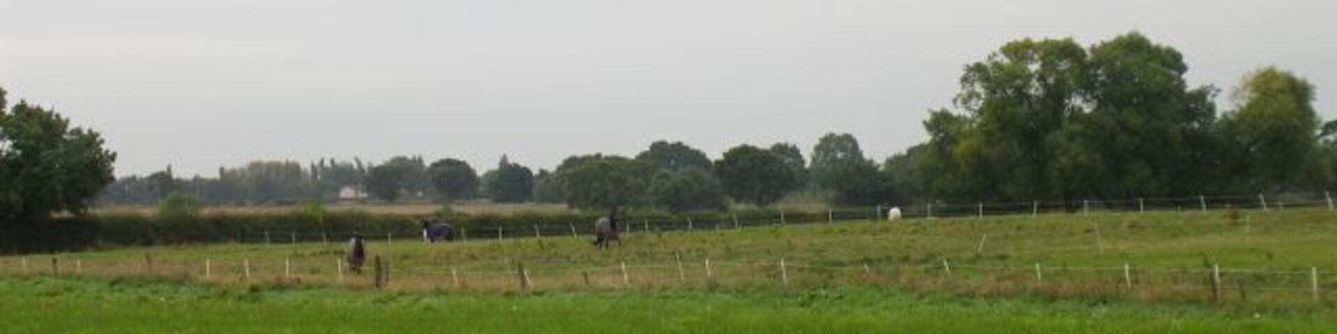 Kenyon. Looking southwest across fields at Kenyon, west of Culcheth. SJ63139575.