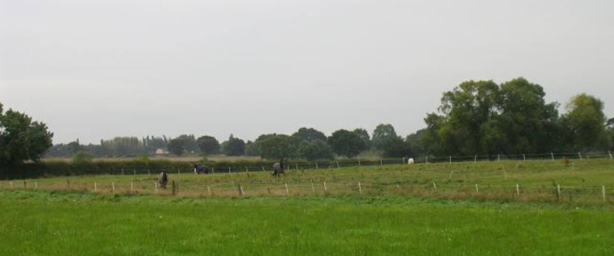 A grassy field with a fence and trees in the background.