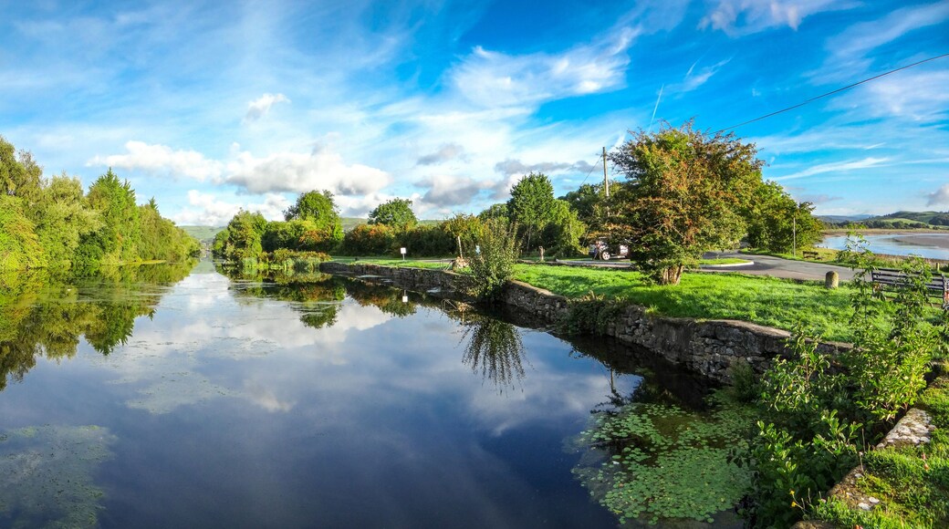 Un río tranquilo que refleja árboles y cielo, rodeado de vegetación exuberante y un puente de piedra.