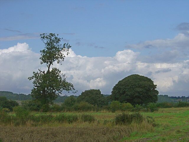 Trees near Spondon An unusually large break in the clouds on a generally wet afternoon.
