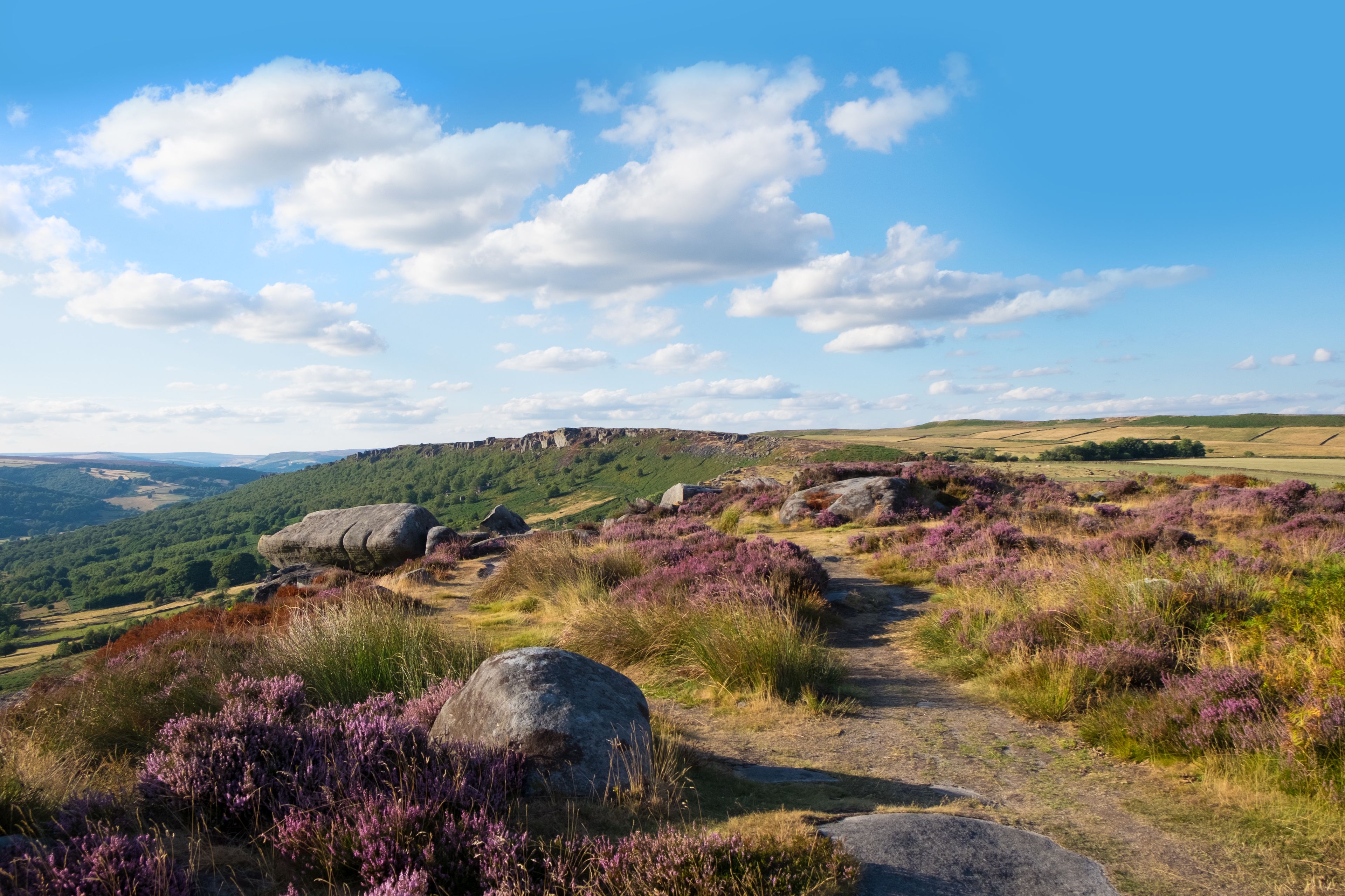 A hiking trail through a hilly landscape with purple heather and large boulders.