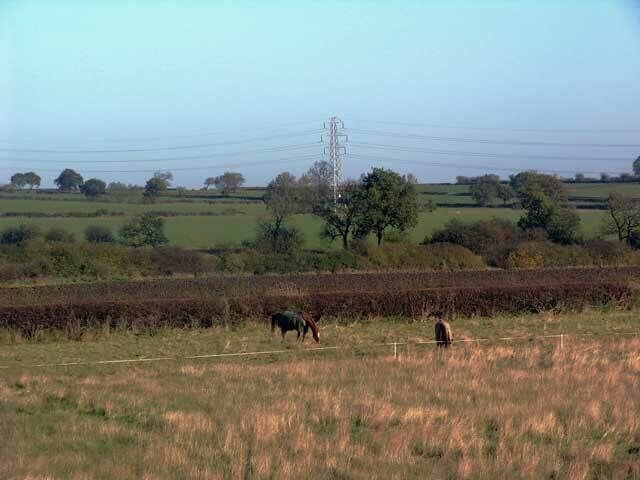Paisagem rural com campos, animais a pastar e uma torre de linha de energia.