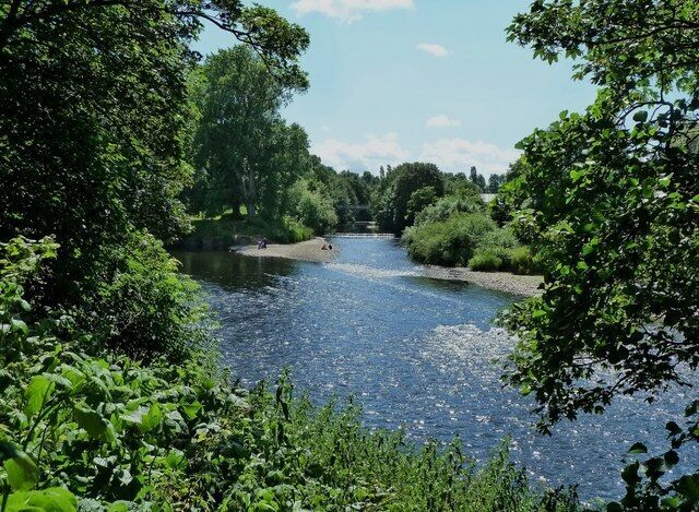 A river surrounded by dense greenery and trees.