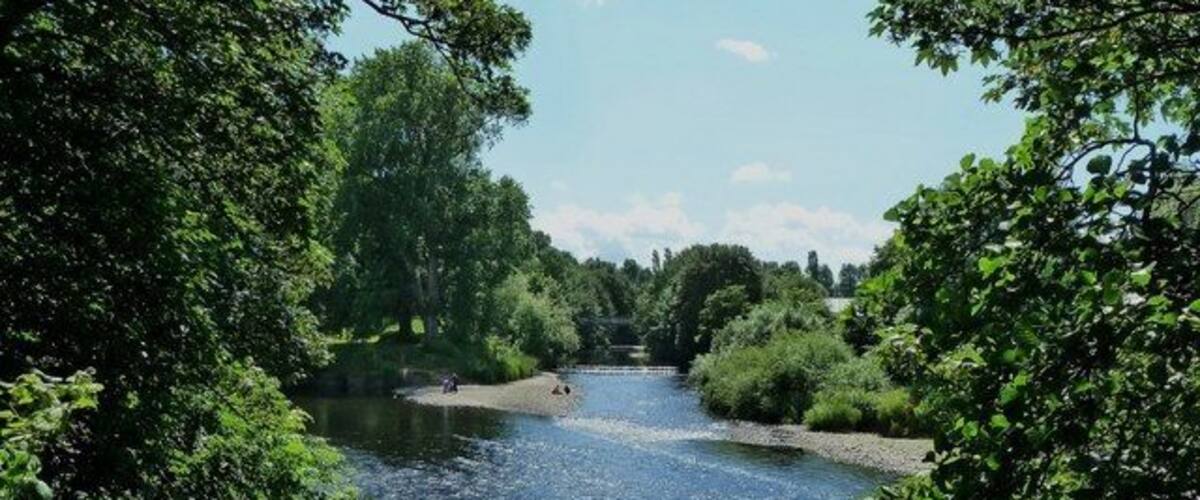 A river surrounded by dense greenery and trees.