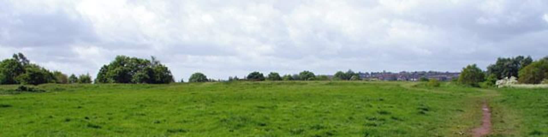 Rodway Hill. Rodway Hill covers an area of around 34.5 acres. The name Rodway comes from the Celtic words 'rod' which means feed and 'way' which means watery. The land originally belonged to the King, and in Saxon times deer, hare, rabbit, wolf, fox and boar were all found here. Information from a notice board near the road-side.