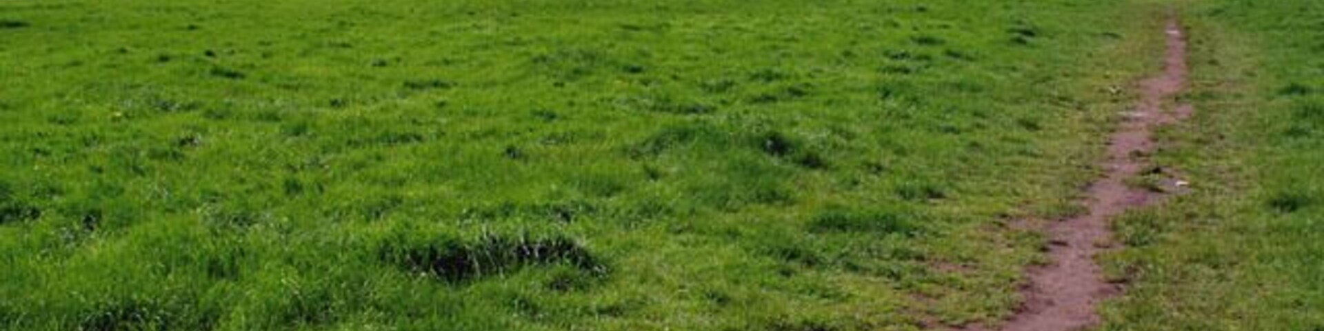 Rodway Hill. Rodway Hill covers an area of around 34.5 acres. The name Rodway comes from the Celtic words 'rod' which means feed and 'way' which means watery. The land originally belonged to the King, and in Saxon times deer, hare, rabbit, wolf, fox and boar were all found here. Information from a notice board near the road-side.