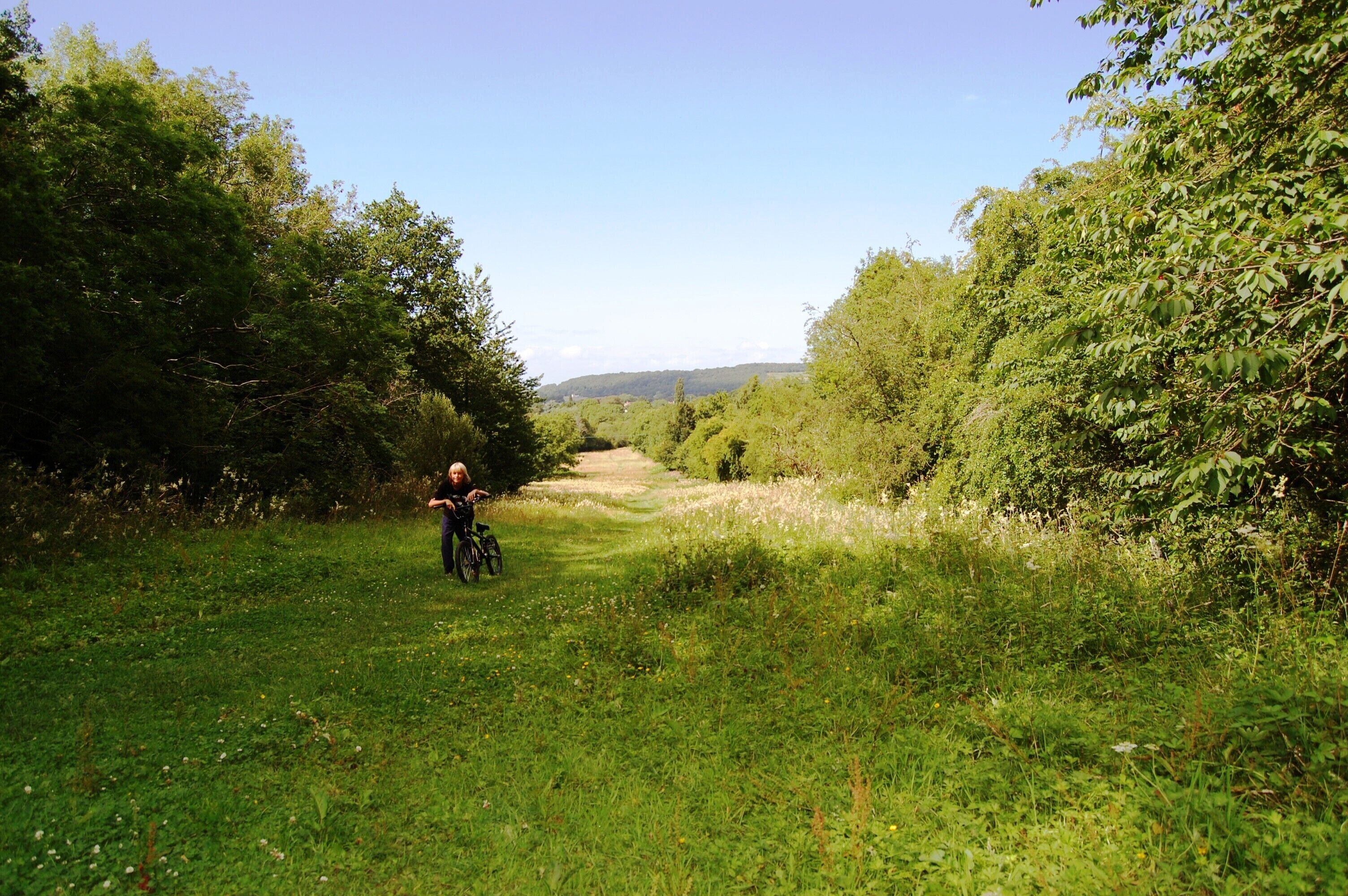 Summer in Slader's Leigh LNR