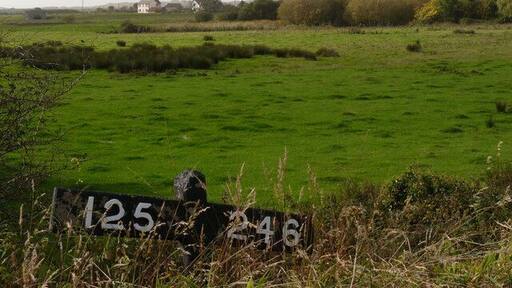 Distant houses beside the River Caen viewed from the Tarka Trail near Chivenor