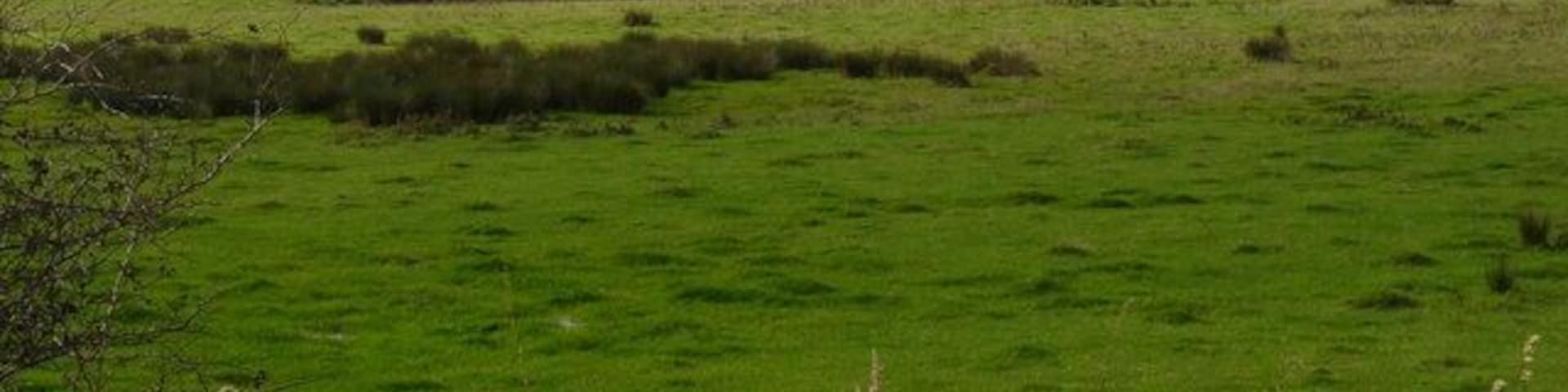 Distant houses beside the River Caen viewed from the Tarka Trail near Chivenor