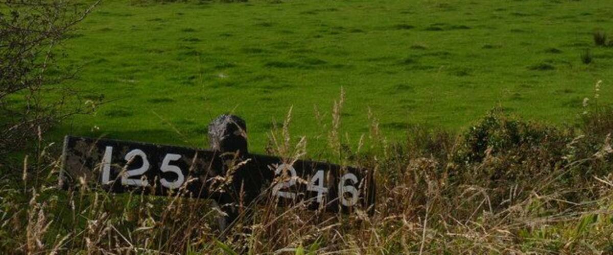 A green field with a sign reading "125 46".
